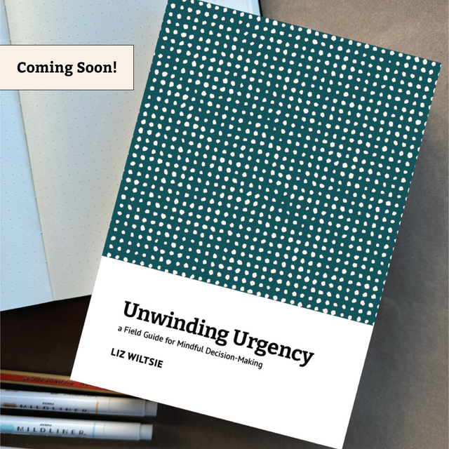 COMING SOON: Unwinding Urgency: a Field Guide for Mindful Decision Making